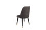 Hanah Home Hugo-361 V2 Juego de Sillas Terciopelo Antracita Negro Dorado Patas Madera 2 Piezas